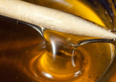 Cannabis Honey Elixir