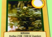 products_seeds_nirvana_generic6